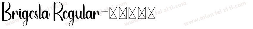 Brigesta Regular字体转换